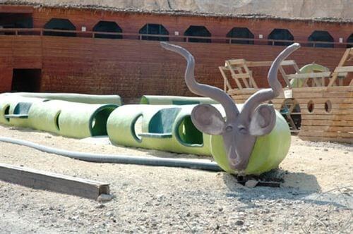 תמונה שצולמה בחוות האנטילופות בערבה - 1 תמונה של חוות האנטילופות בערבה - 1