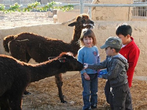 תמונה של הגן הזאולוגי