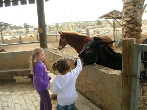 תמונה של הגן הזאולוגי