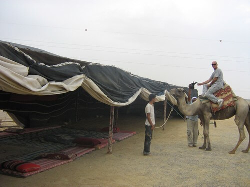 תמונה של רכיבה על גמלים וחמורים