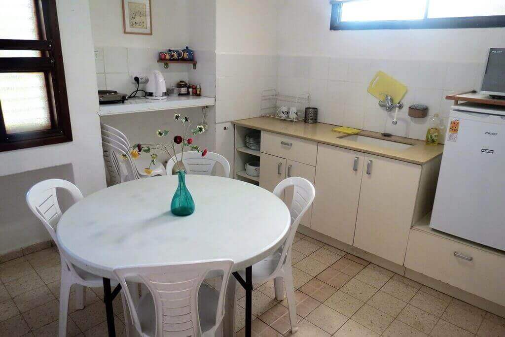 תמונה של אמוניט בגדולה - 2