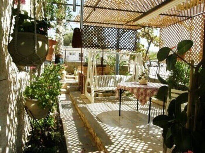 תמונה של אמוניט בגדולה - 8