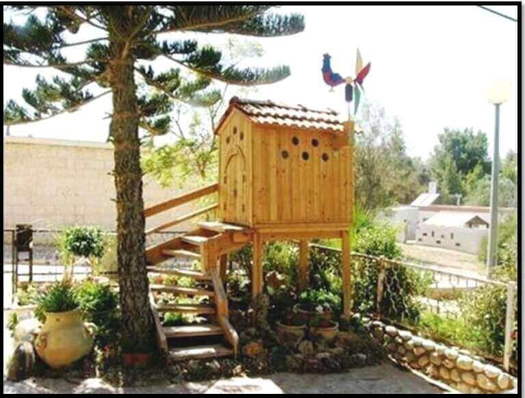 תמונה של אמוניט בגדולה - 7