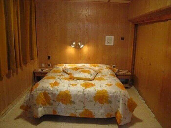 תמונה של אמוניט בגדולה - 3