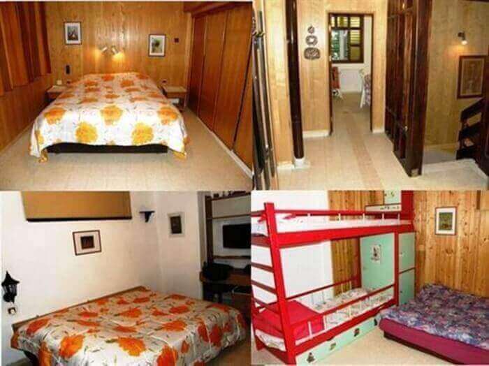 תמונה של אמוניט בגדולה - 4