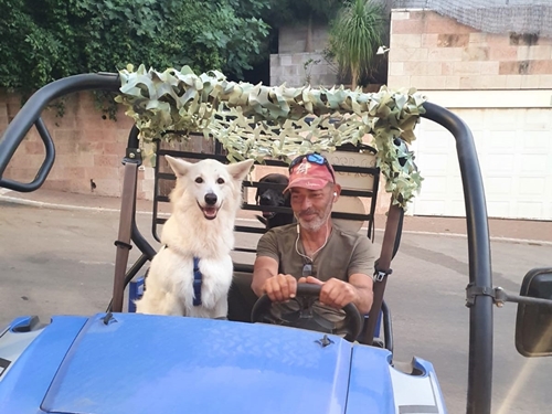 תמונה של מסלולים נהיגה ומסלולים משולבים