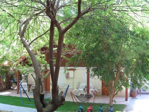 תמונה של אטרקציות וטיפולים