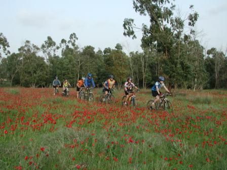 תמונה שצולמה בלה-מדווש - 5 תמונה של לה-מדווש - 5