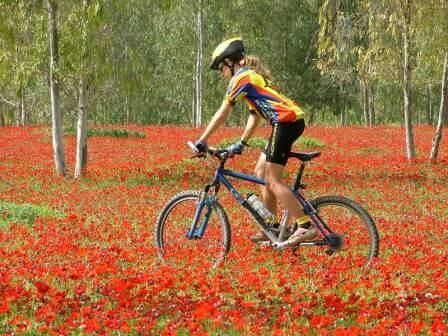 תמונה שצולמה בלה-מדווש - 1 תמונה של לה-מדווש - 1