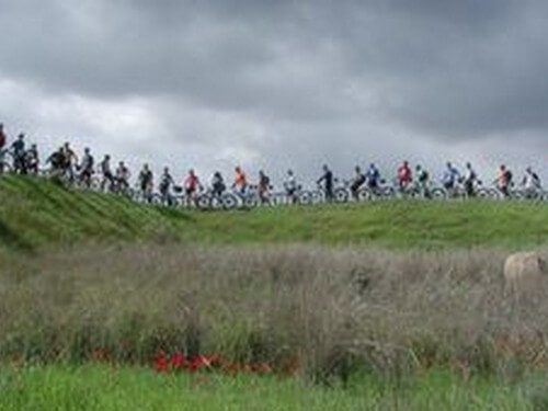 תמונה של השכרת אופניים תמונה של השכרת אופניים