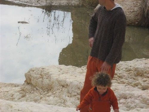 תמונה של דני בראל תמונה של דני בראל