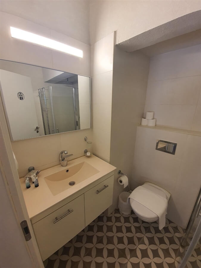 תמונה של אקליפטוס - 2