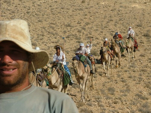 תמונה של טיולי גמלים