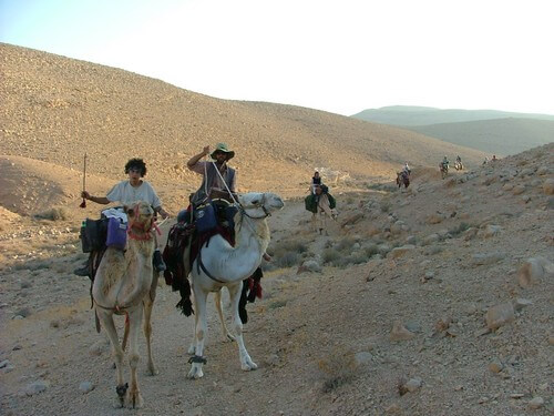תמונה של טיולי גמלים