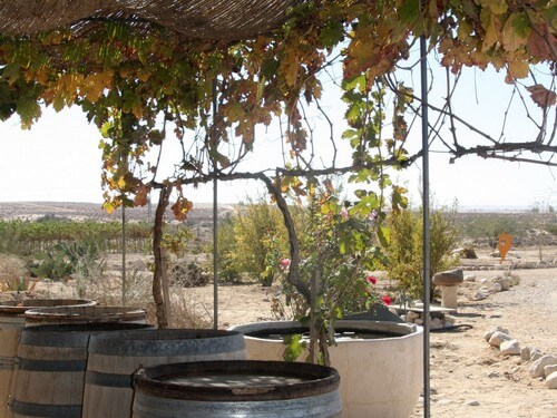 תמונה של סיור בחווה וביקב