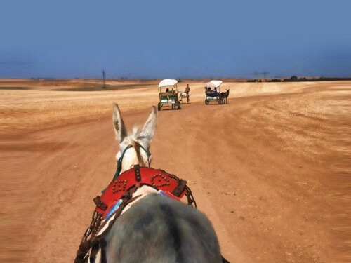 תמונה של טיולי חמורים