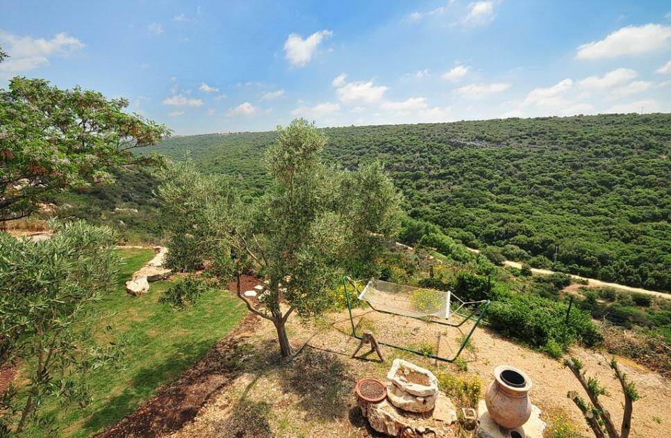 תמונה של בקתות סטודיו 1-2 - 8