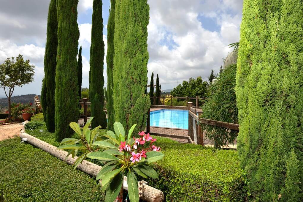 תמונה של בקתות סטודיו 1-2 - 9