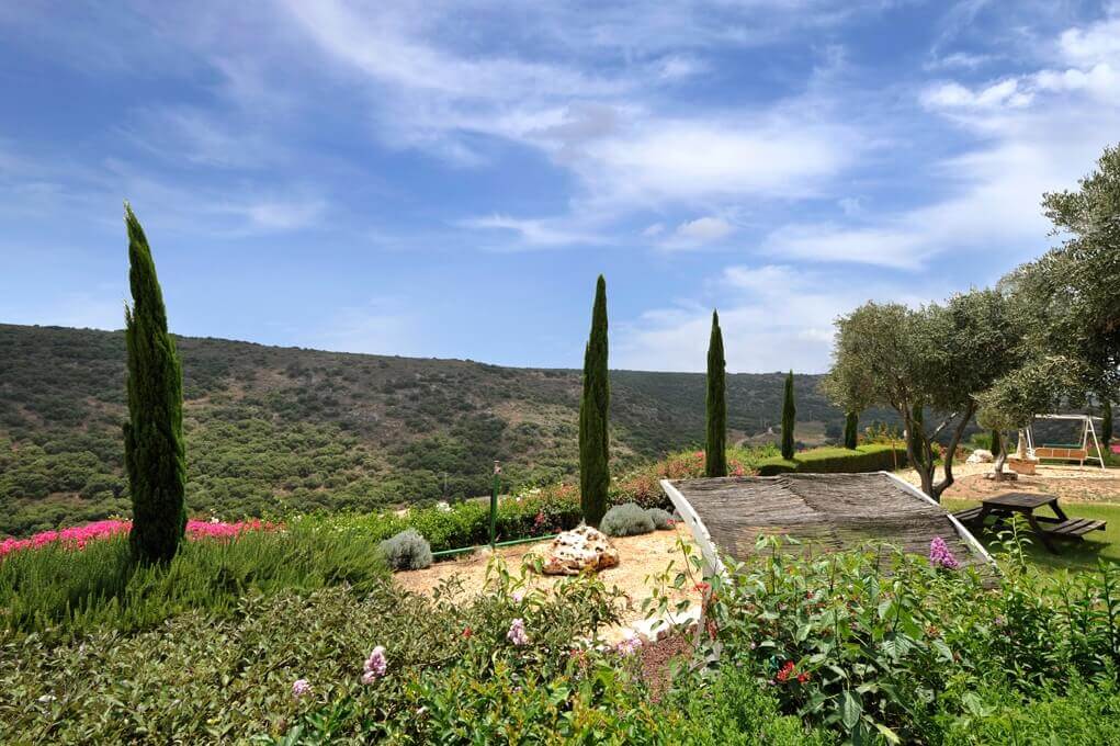 תמונה של בקתות סטודיו 1-2 - 11