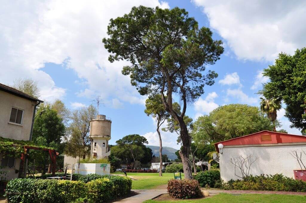 תמונה של יחידות הברון - 6