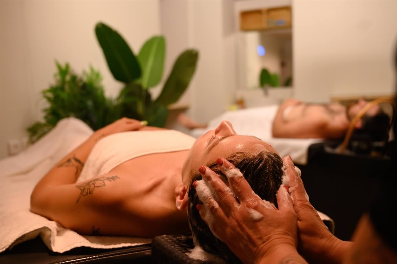 תמונה של הטיפולים תמונה של הטיפולים