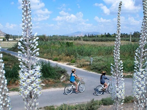 תמונה של טיולים בפארק המעיינות
