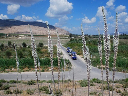 תמונה של טיולים בפארק המעיינות