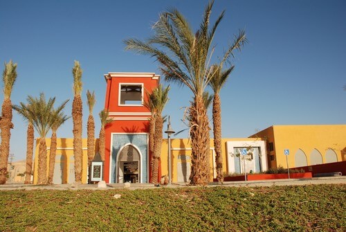 תמונה שצולמה בצל תמרים - 3 תמונה של צל תמרים - 3