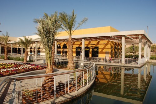 תמונה שצולמה בצל תמרים - 2 תמונה של צל תמרים - 2