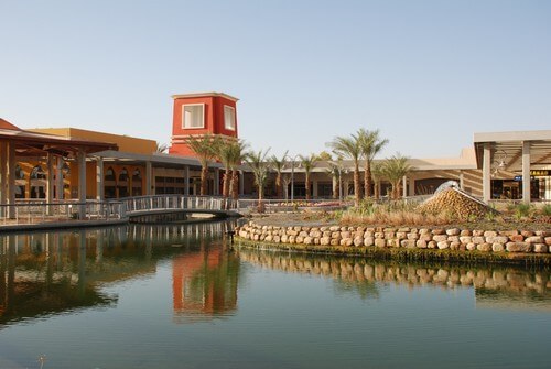 תמונה שצולמה בצל תמרים - 1 תמונה של צל תמרים - 1