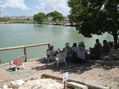 תמונה שצולמה בדג בכפר - פארק דייג - 2 תמונה של דג בכפר - פארק דייג - 2