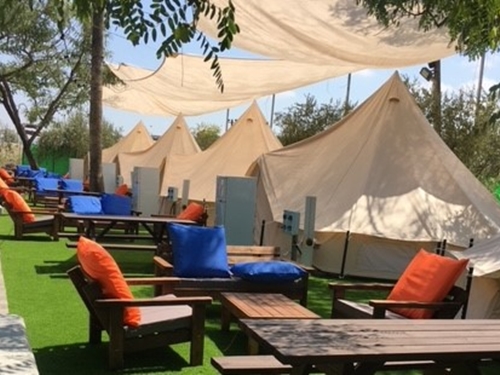 תמונה של פעילות לילדים תמונה של פעילות לילדים