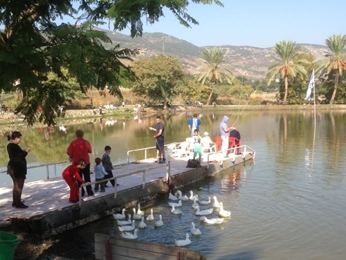תמונה של פעילות לילדים תמונה של פעילות לילדים
