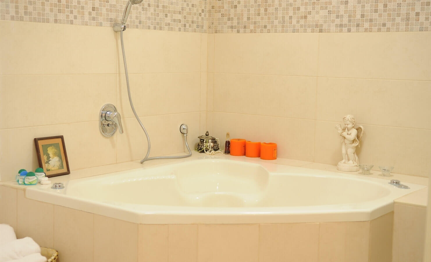 תמונה של יחידות האירוח - 5