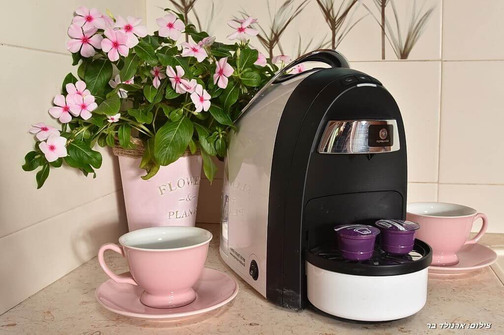 תמונה של בקתת העץ - 2