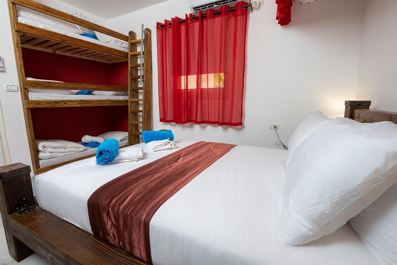 תמונה של צל התמר - 6