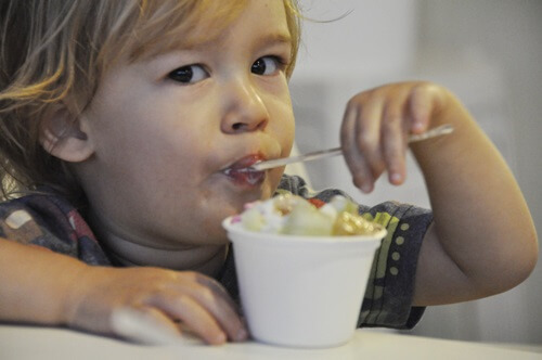 תמונה של היוגורט שלנו