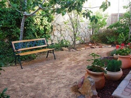 תמונה שצולמה בבוסתן במדבר - 1 תמונה של בוסתן במדבר - 1