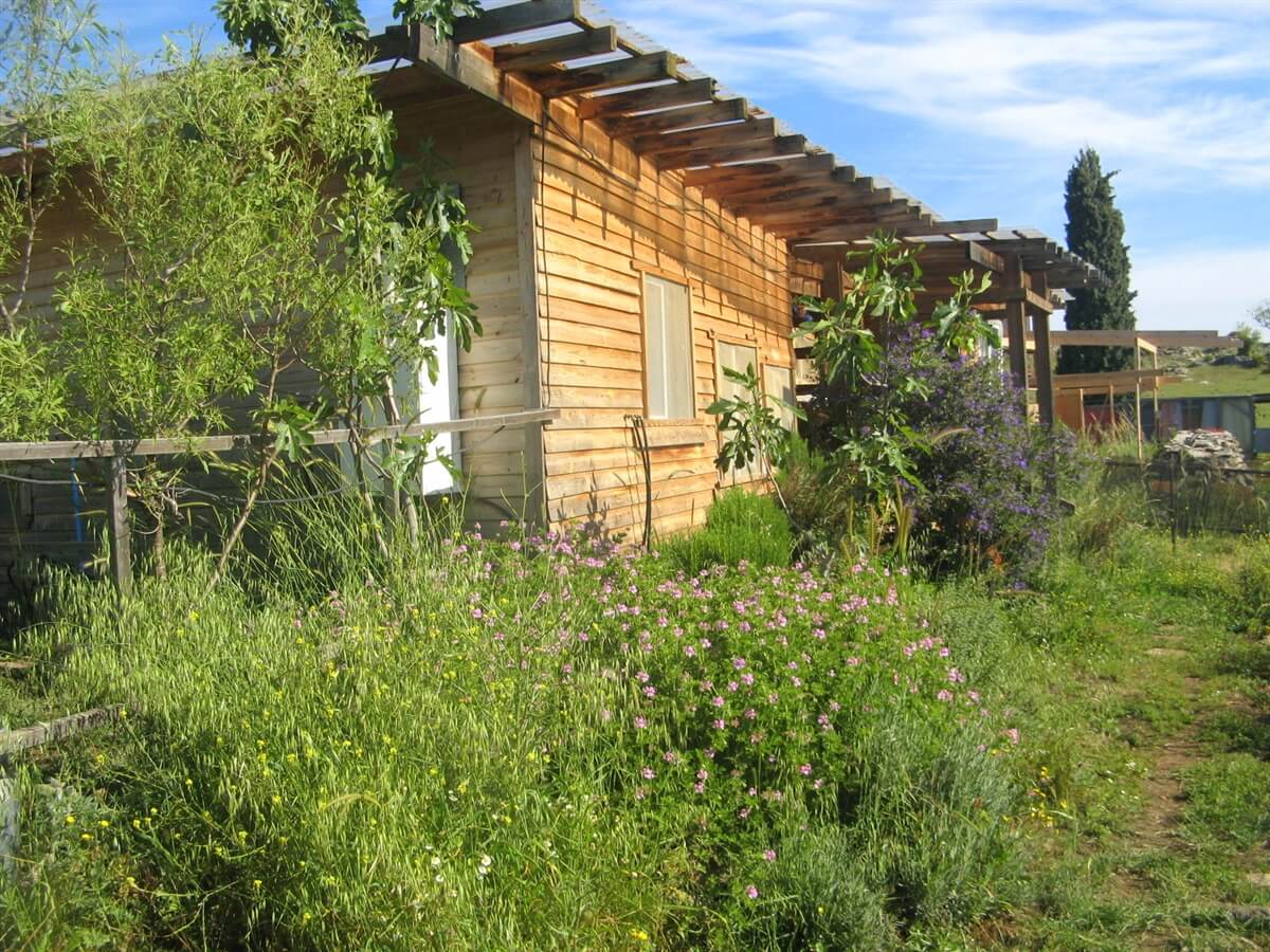 תמונה של בקתת עץ - 13