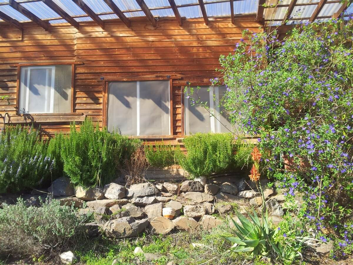 תמונה של בקתת עץ - 2