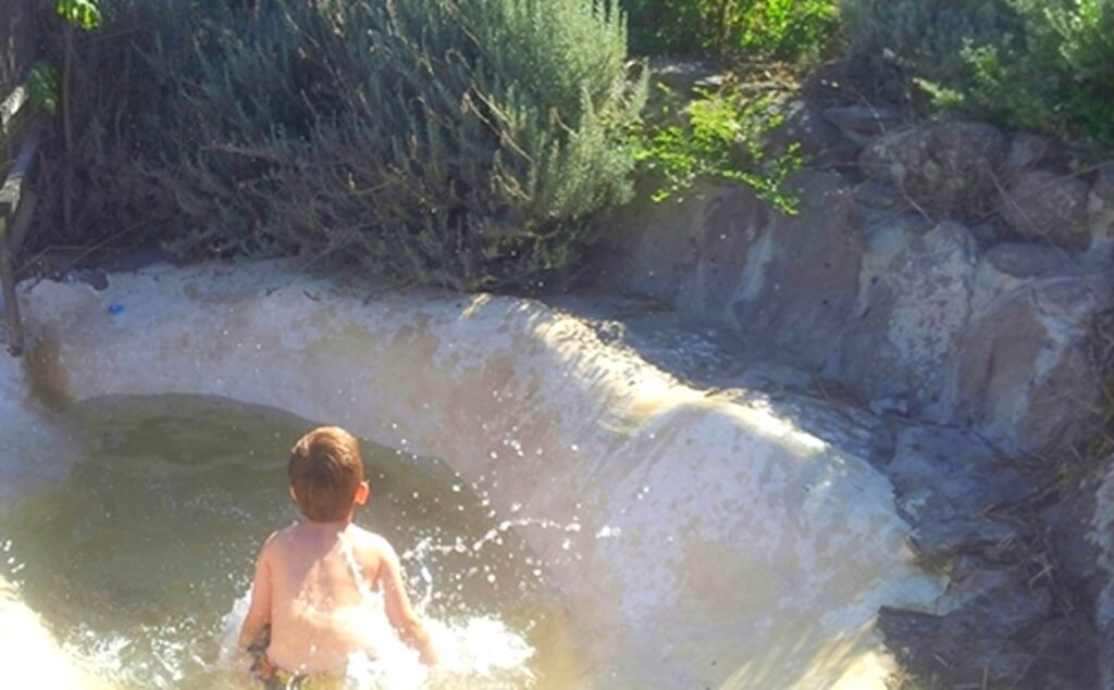 תמונה של בקתת עץ - 6