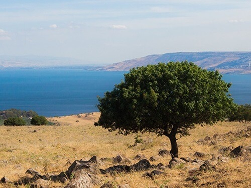 תמונה של טיולי רכיבה