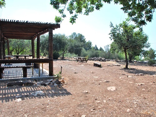 תמונה של טיולי רכיבה