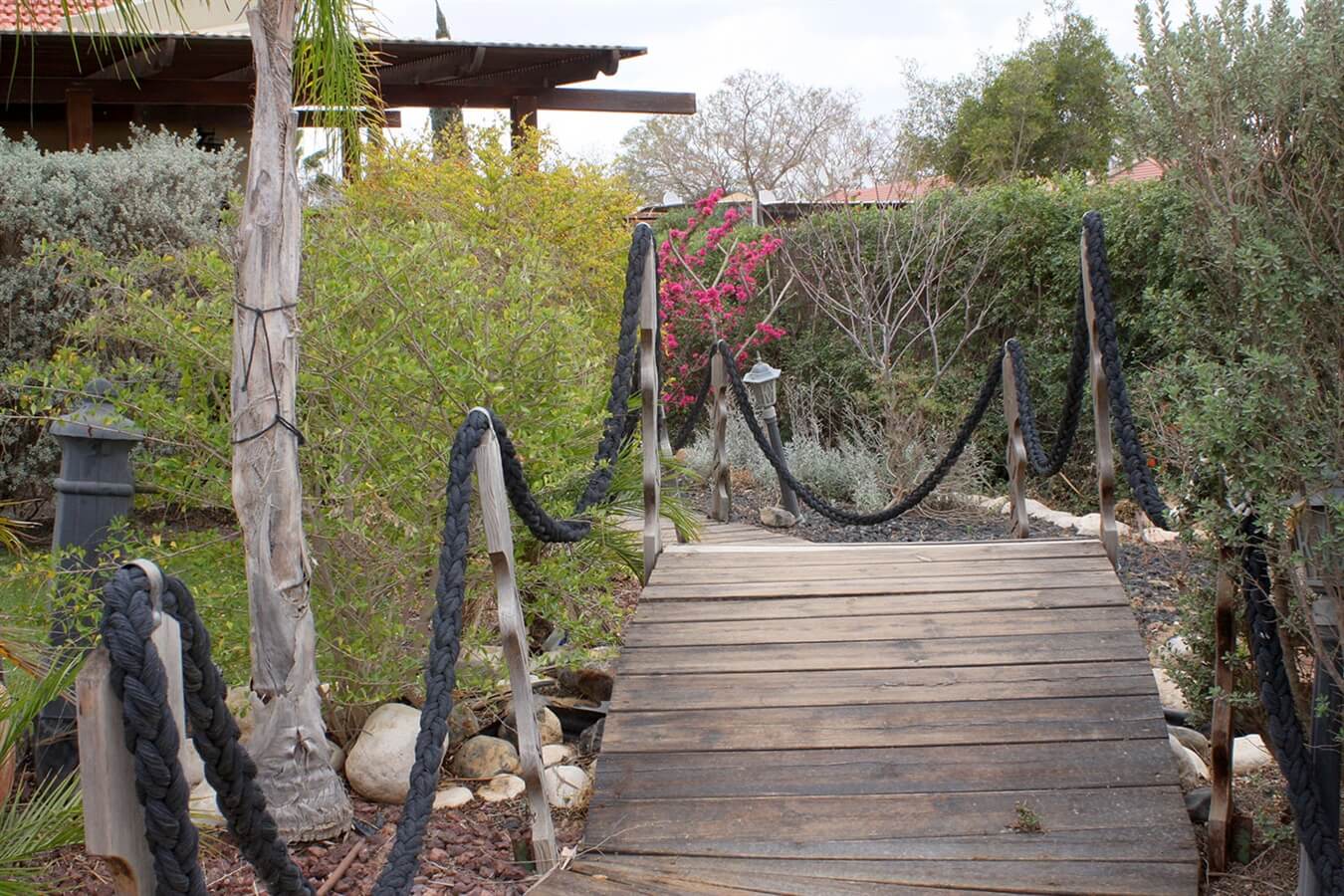 תמונה של הצימר האסיאתי - 2 תמונה של הצימר האסיאתי - 2