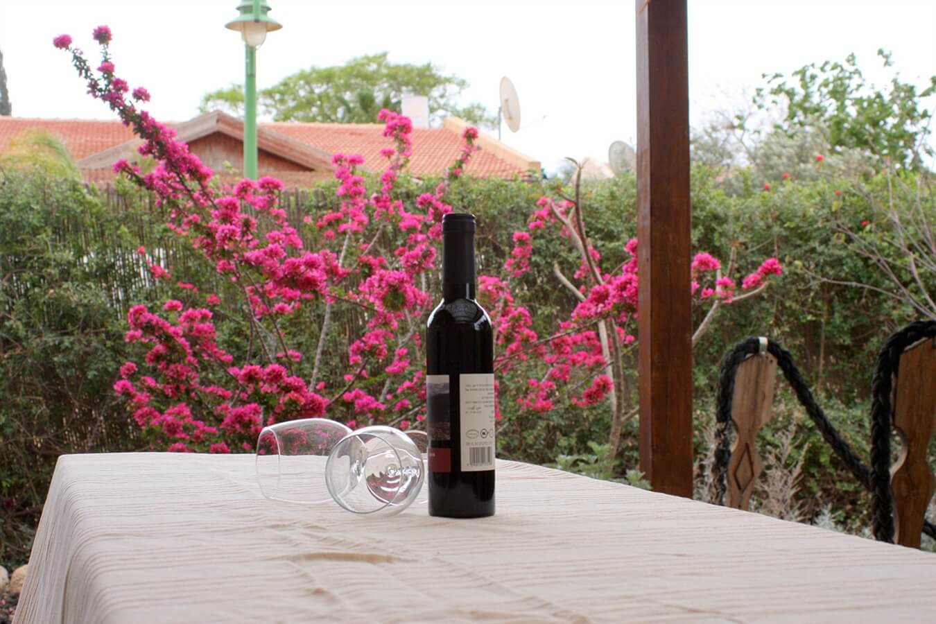 תמונה של הצימר האסיאתי - 10 תמונה של הצימר האסיאתי - 10