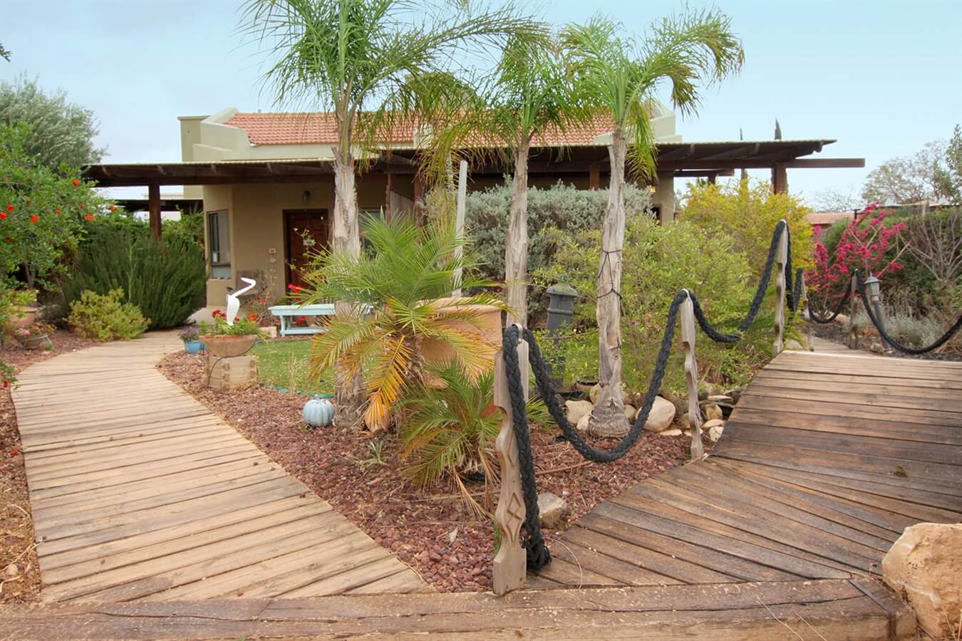 תמונה של הצימר האסיאתי - 1 תמונה של הצימר האסיאתי - 1