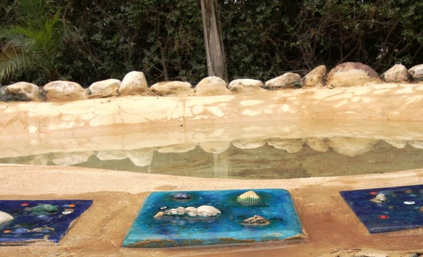 תמונה של הצימר הים תיכוני - 4 תמונה של הצימר הים תיכוני - 4