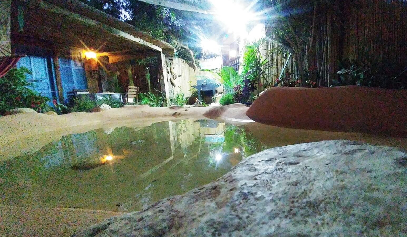 תמונה שצולמה בצימבר - 2 תמונה של צימבר - 2