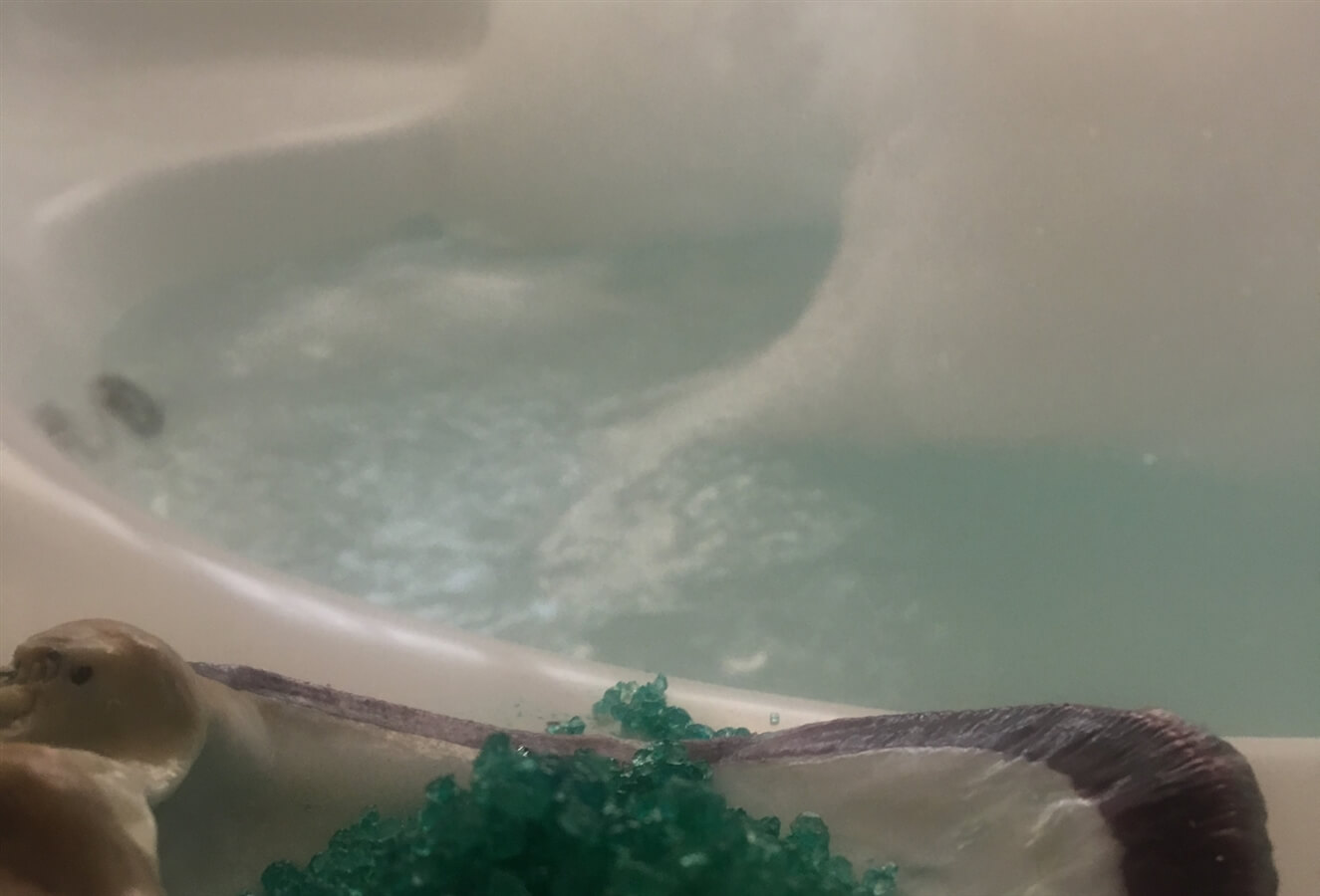 תמונה של הצימר הים תיכוני - 10 תמונה של הצימר הים תיכוני - 10