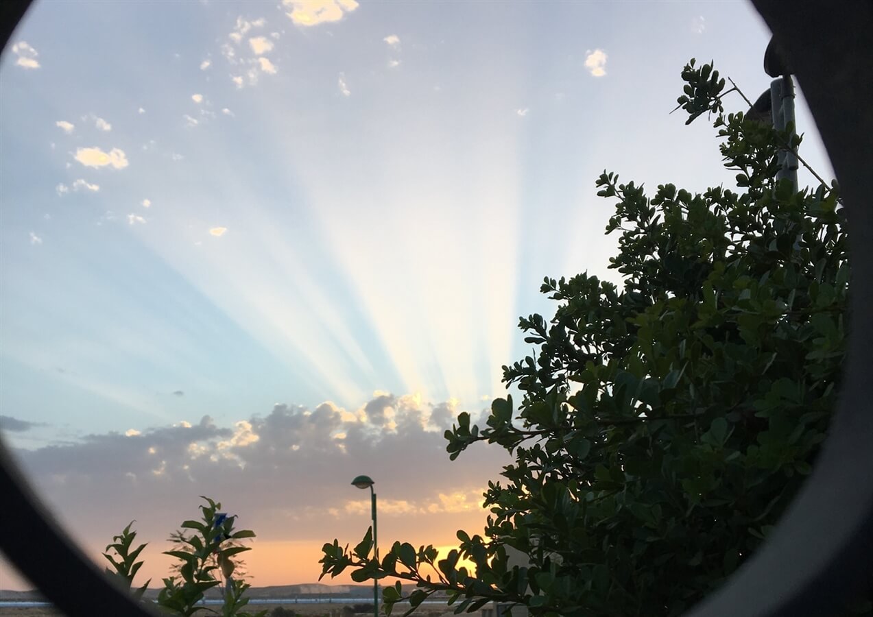 תמונה של הצימר הים תיכוני - 9 תמונה של הצימר הים תיכוני - 9